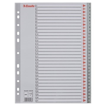 Esselte Register PP A4 1-31 gray