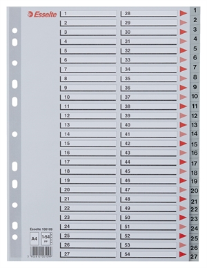 Esselte Register PP A4 1-54 gray