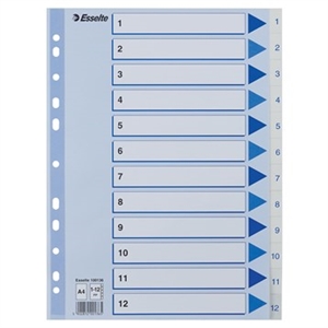 Esselte Register PP A4 1-12 white