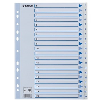 Esselte Register PP A4 1-20 white.