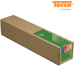 Tecco paper